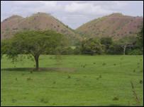 The Venezuelan government is expropriating privately-owned land in Los Llanos. Photo: BBC