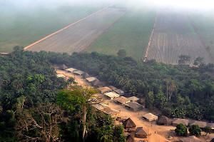 Aerial photo of the lands taken by Addax Bioenergy for its sugar cane plantation in Sierra Leone. Photo: Le Temps