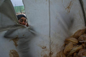 At a Syrian refugee camp near the border with Turkey, a boy, waiting in line for a hot meal, looked inside a tent at stacks of bread.  Photo: Lynsey Addario/New York Times 