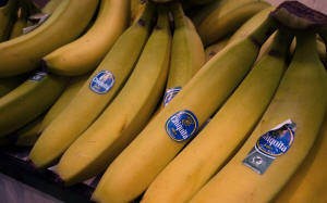 Bananas from Costa Rica for sale at Eastern Market in Washington, DC, in February 2014. Photo: Paul J. Richards/AFP/Getty Images
