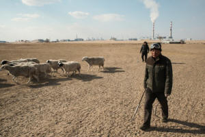 Inner Mongolian sheepherders, with alunminum smelter in the background. Photo: Gilles Sabrie/Washington Post